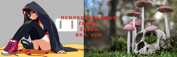 дживик Балахна