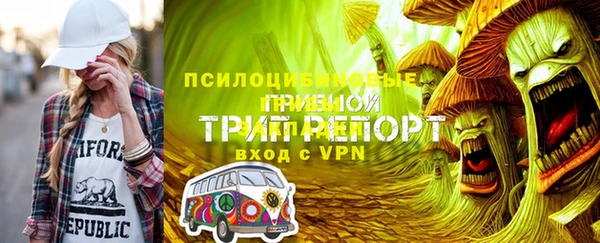 дживик Балахна