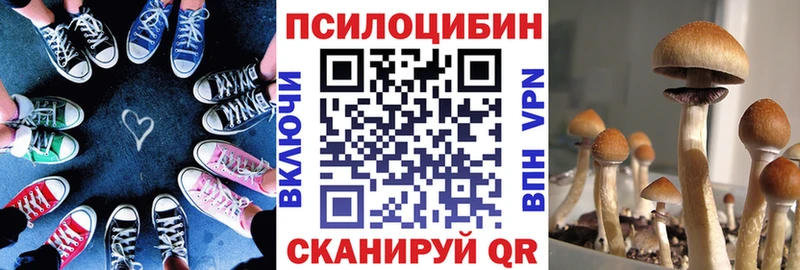 Галлюциногенные грибы MAGIC MUSHROOMS  продажа наркотиков  Новый Оскол 